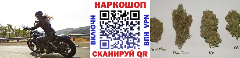 Что такое Карасук Канабис  A-PVP  Псилоцибиновые грибы  Мефедрон  ГАШИШ 