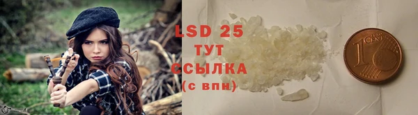 гидра Верхний Тагил