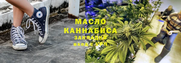 гидра Верхний Тагил